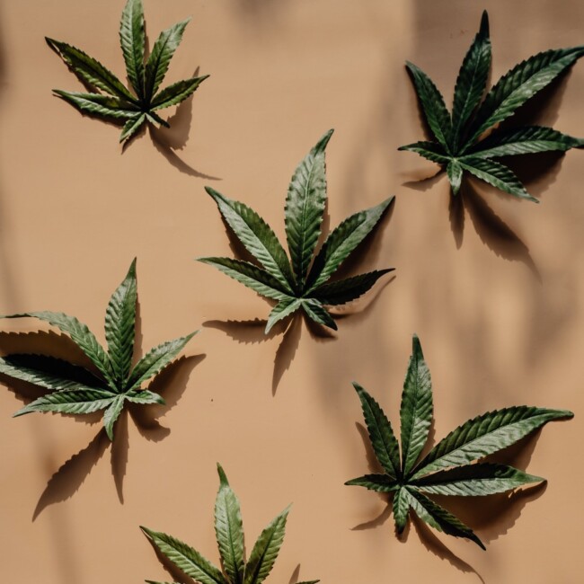 cannabis dispensary downtown flwr