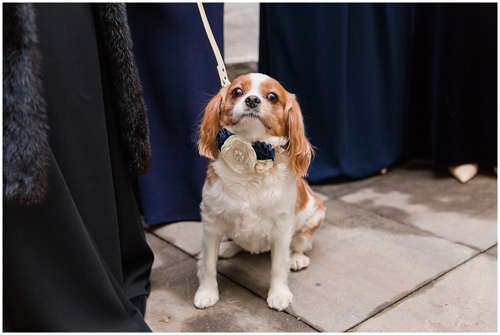 hoboken wedding grand vin