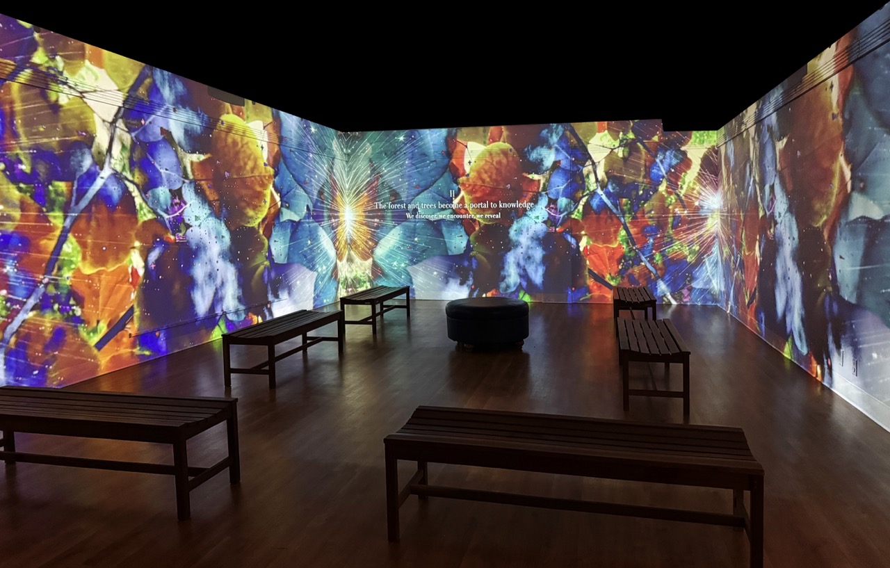 Perennial Land – The Data Forest immersive installation at Morris Museum