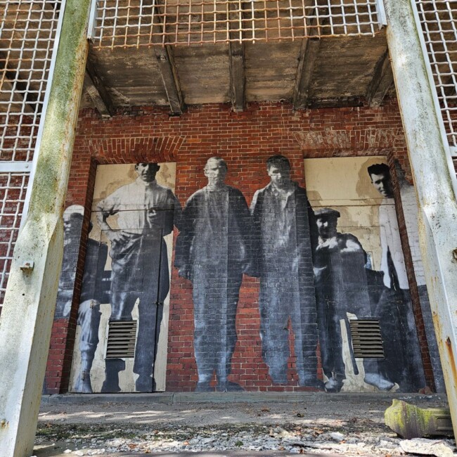 save ellis island tour