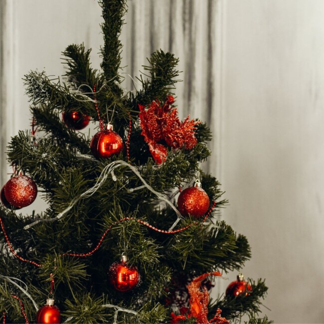 the hoboken girl holiday guide where to buy a real tree wreaths part i